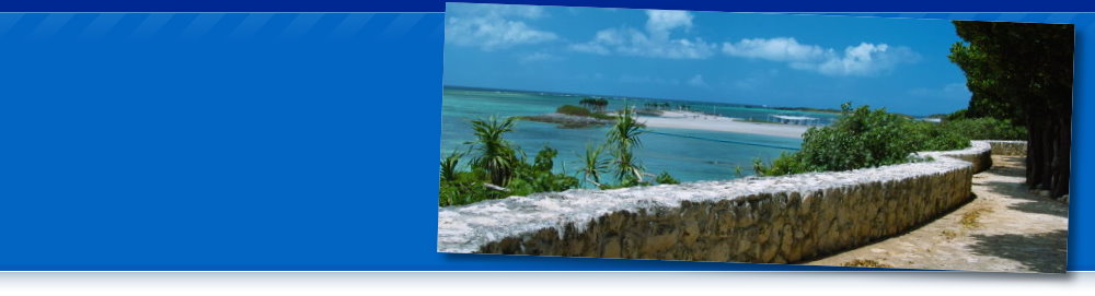 image slideshow